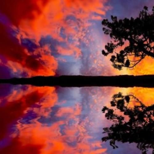 کارم خطره کارت گیره حق با منه کلم کچله