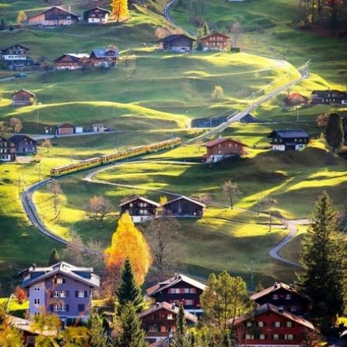 دخترا گل بچینید بوی نکنید اینستایی