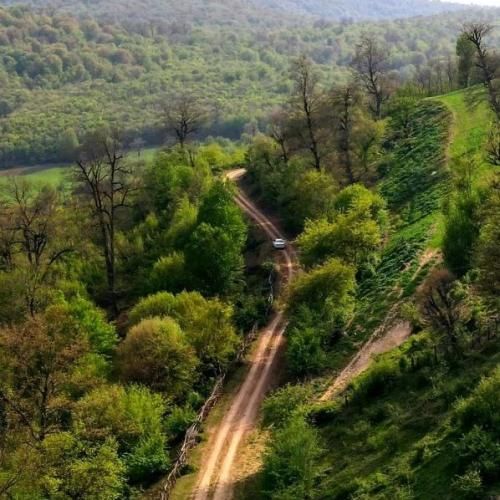 من میرم ولی باز تو بدون همیشه کیو بازی میدی