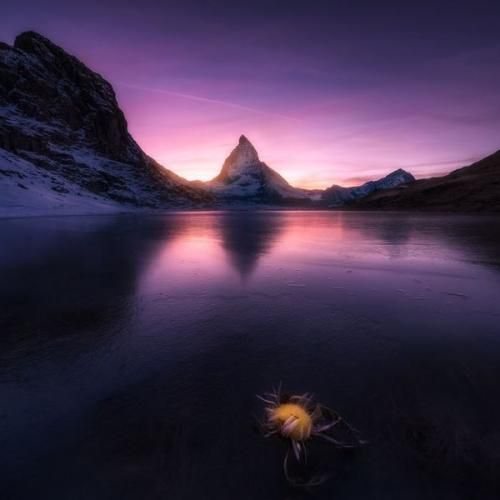 مثمون گشتم نگرد نیست اگر هم باشه در حد نیست