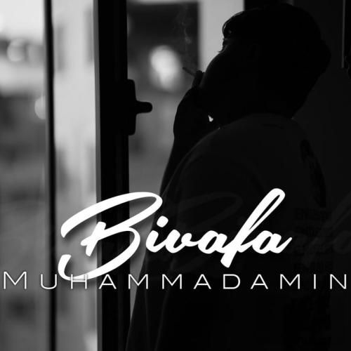 محمد امین قاسمی بی وفا