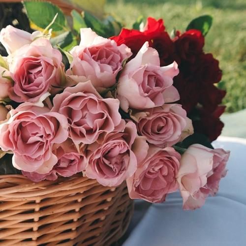 دلی که رو هوا زدی دادی دست باد ببره با صدای زن