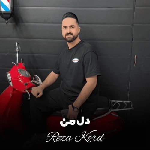 رضا کرد دل من