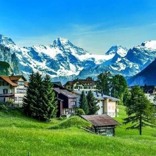 نبود به نفعت خاطره هامون دفع شه