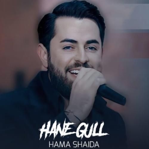 هانی گول حه مه شیدا