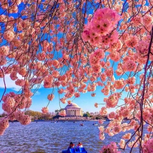 چطور با حرفات کاری کردی رامت شم