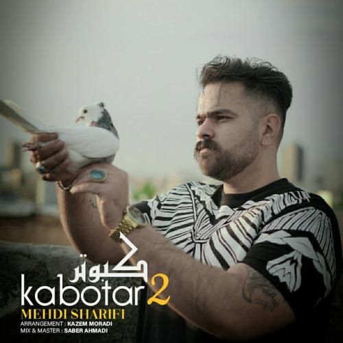 مهدی شریفی کبوتر 2