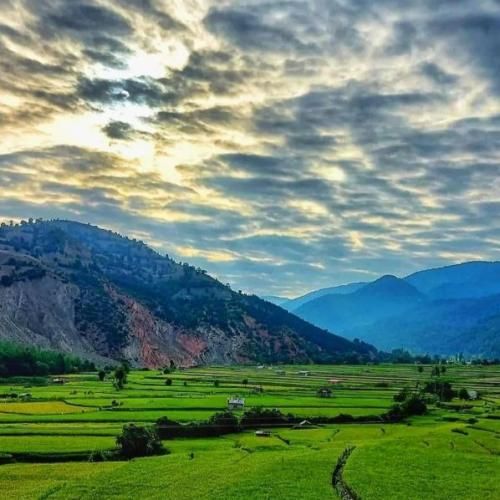 بگو با کی لج کردی انقد تند رفتی تقاطع نی