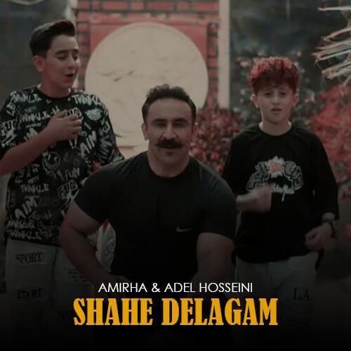 امیرها و عادل حسینی شاه دلگم