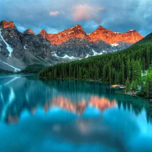 چقد عکساتو دیدم با دل پر چقد زجه میزدم پا تلفن