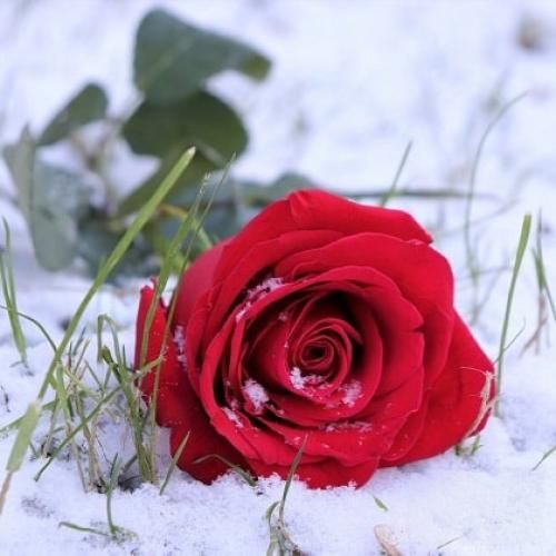 تا حالا شنیدی که مرد گریه نمیکنه