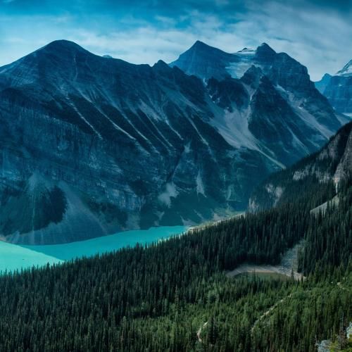 میزنیم گلای سمی و زیاد تو جمع راه نمیدیم