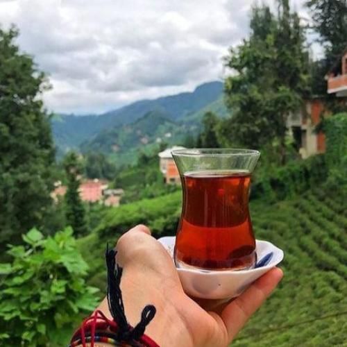 تو قلمت هیچوقت قوی نبوده