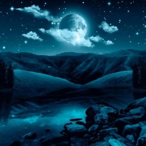  منم مث‌ تو تنهاییو بلدم نمیخوام بزارم وقت واسه ی دیدنت