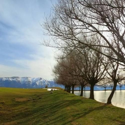 رقیب و رقبا نقره داغ شریک و شرکا شبهه دار میده یه چی مثل بمب