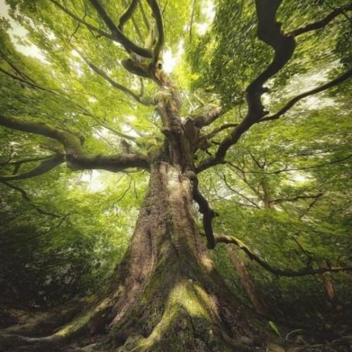 میخوام از جلسی بمیرم باهات عکس بگیرم باید