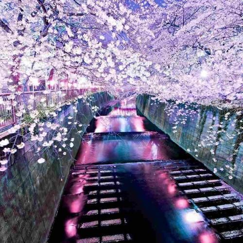 اکانتام همه پاک شدن سریع نمیخوام بمونه ازت اثری