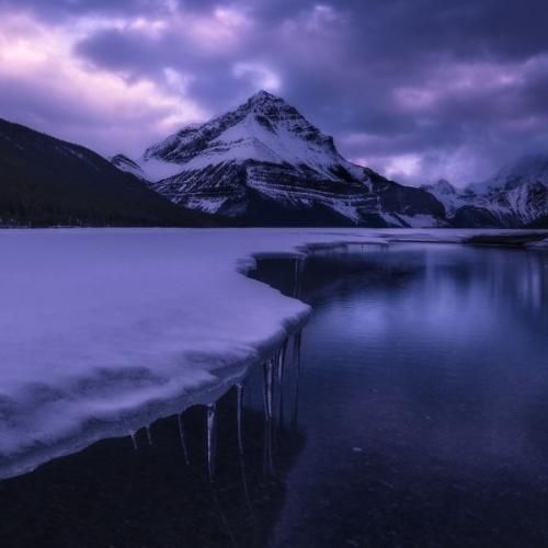 شنیدم یکی شد غد یکی شد پدر اولد