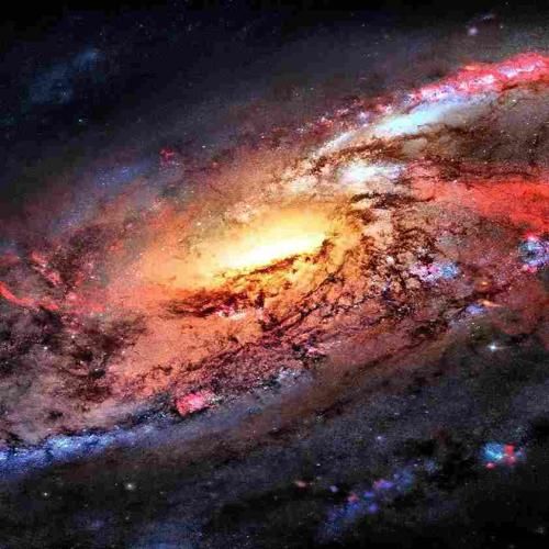 رنگ عوض کرده دلت جای موندن نی هتله زور نزن