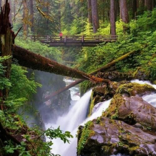 منم که به یاد تو هی میخورم ده بار غم سر چی تو میکنی