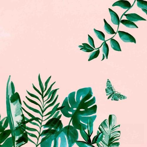  کف دستامو دیدی ببین زبره ولی یخ زده برات