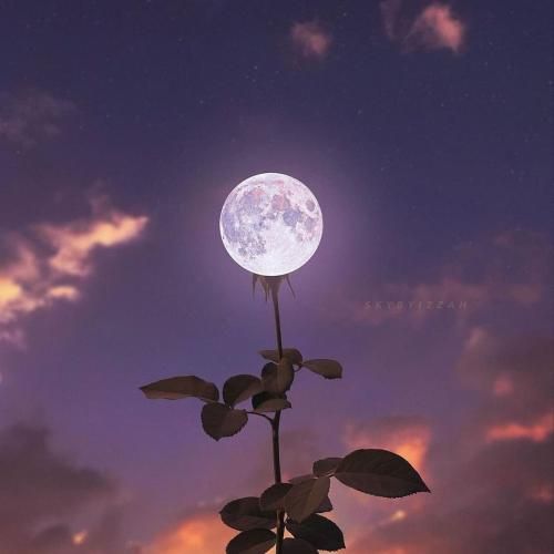 علی سورنا و بهرام شعر بیداری