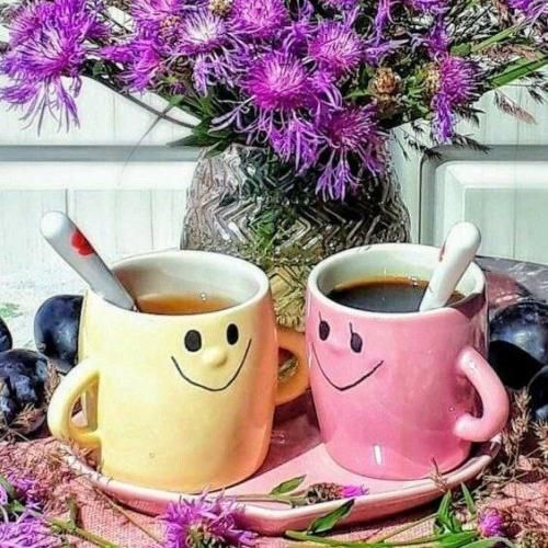 نمیتونم بشم انگار بیخیال نمیتونم بردارم