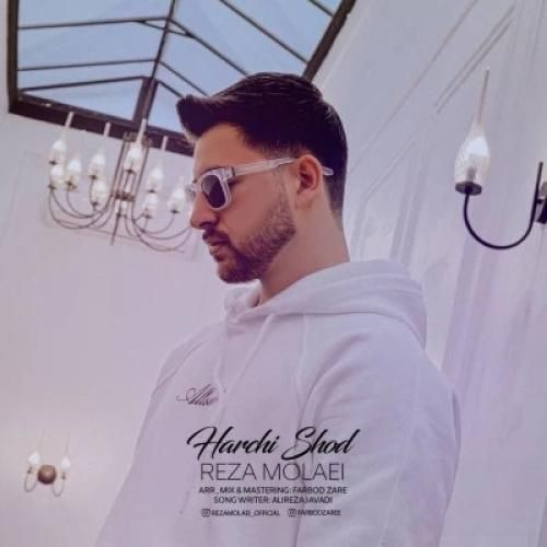 رضا مولایی هرچی شد