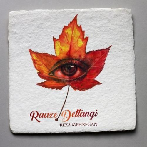 رضا مهرگان راز دلتنگی