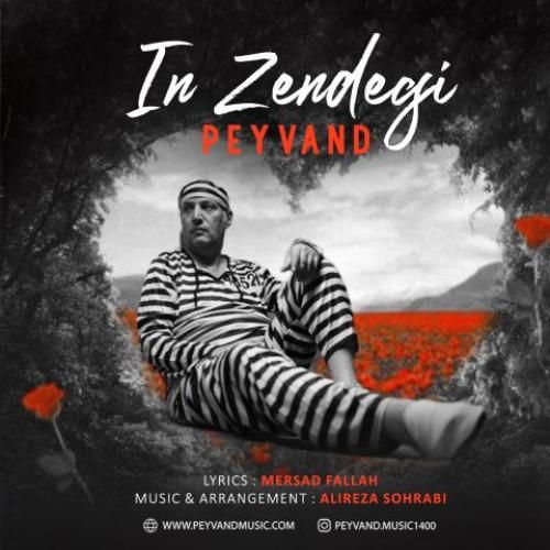 پیوند این زندگی