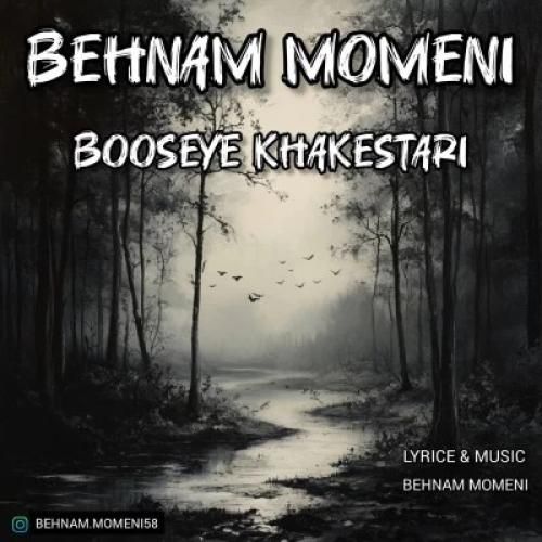 بهنام مومنی بوسه خاکستری