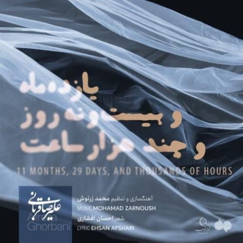 علیرضا قربانی یازده ماه و بیست و نُه روز و چند هزار ساعت