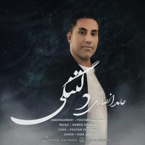 حامد انصاری دلتنگی