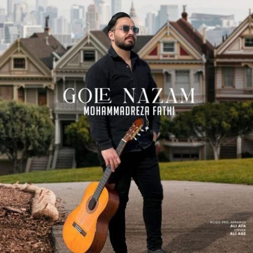 محمدرضا فتحی گل نازم