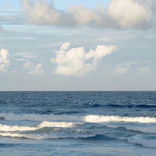  میگذره درس میشه ولی نترس دیگه