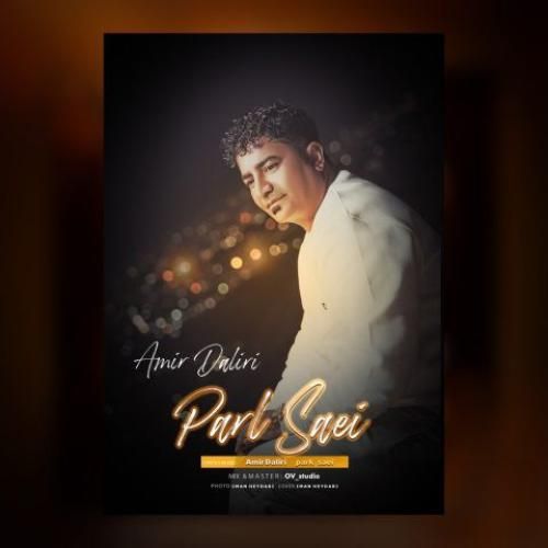 امیر دلیری پارک ساعی