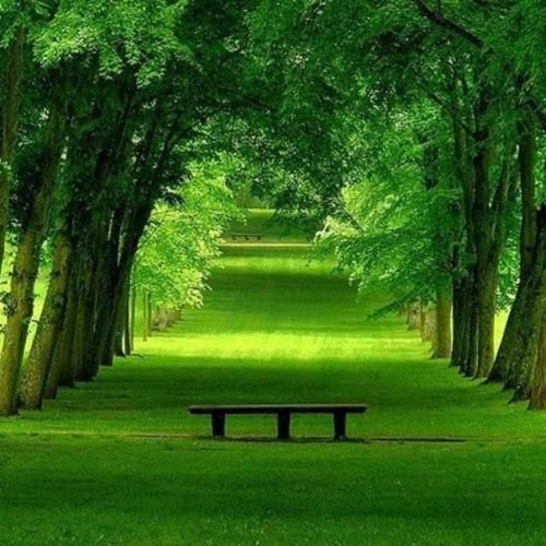  چیکار کردی با دلم وای چیکار کردی