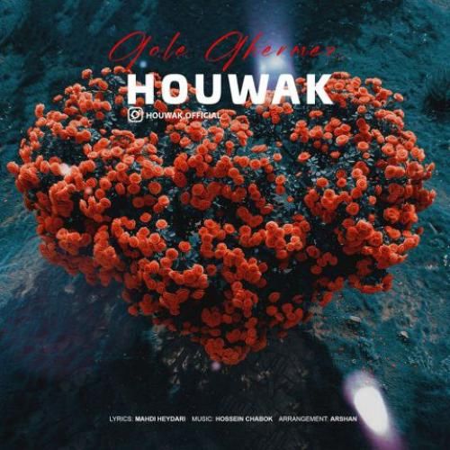 هوواک گل قرمز