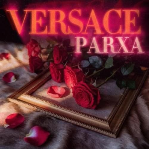 پارسا ورساچه