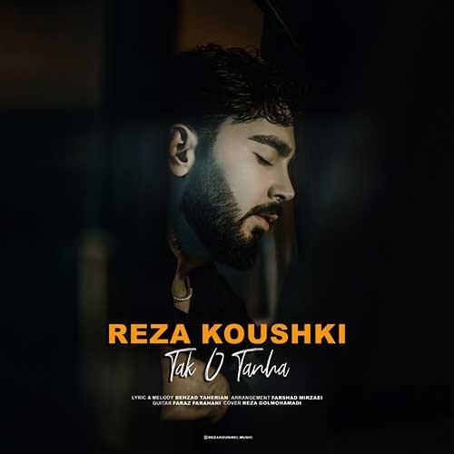 رضا کوشکی تک و تنها