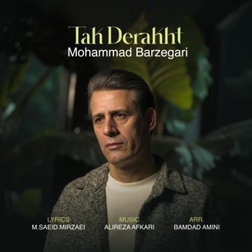 محمد برزگری تک درخت