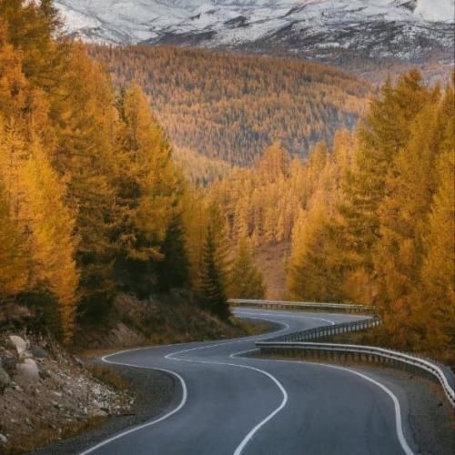  تو بگو عشقت اومد اصلا تو این زمین بهشت کجا بود