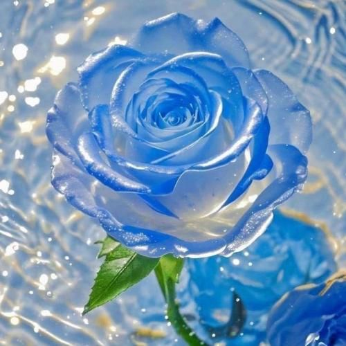  یه جوری عاشقم که با تو حاضرم تا خود ماه برم