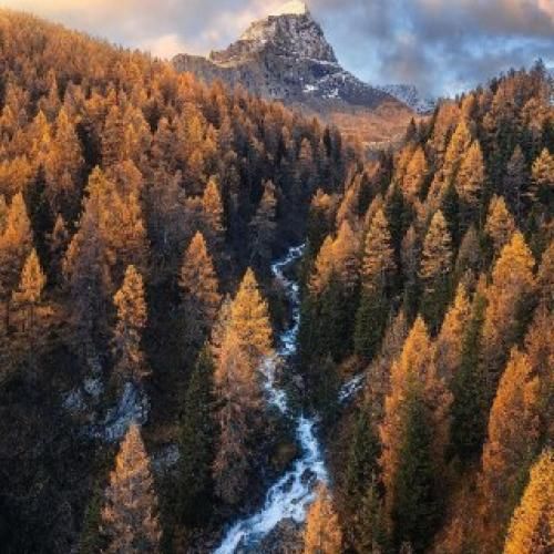 سره چشات بود رفتم من بگا مگا حتی حال نمیدن