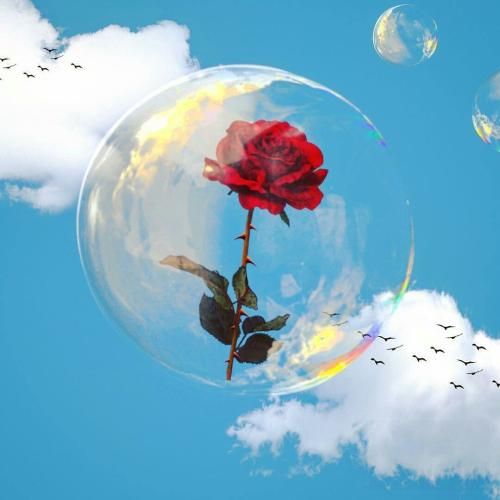  دیگه نوری نیست تو این شبام ستاره نی برام