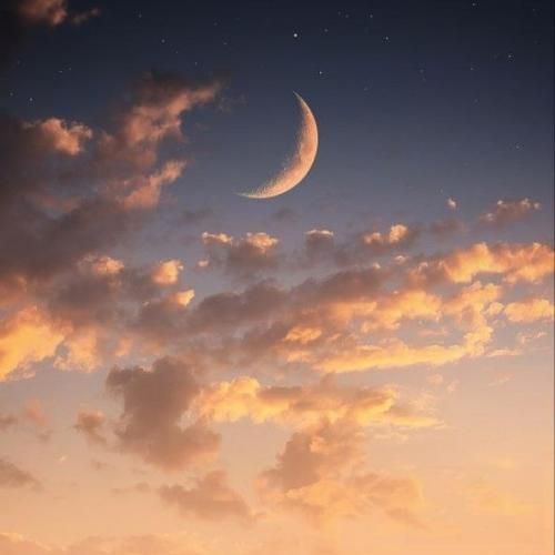 انگاری هیش دست ما پیکه آبجو تگری فقط اینستایی