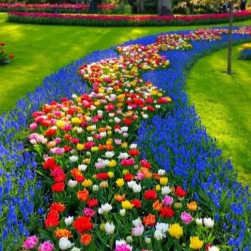  برو برو با زیدگت تو چنه تو چنی خاری میکس اینستا