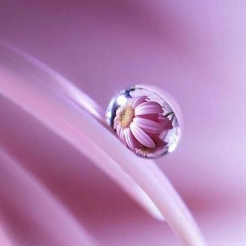  واسه ما بزار خندت گل کنه با صدای دختر