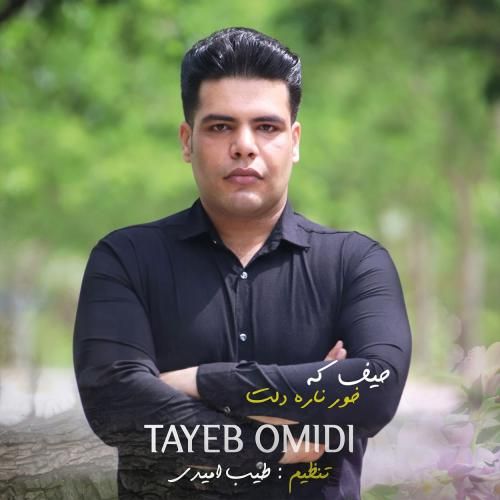 طیب امیدی حیف که خور ناره دلت