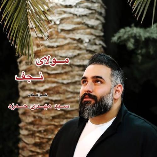سید مهدی حمزه مولای نجف